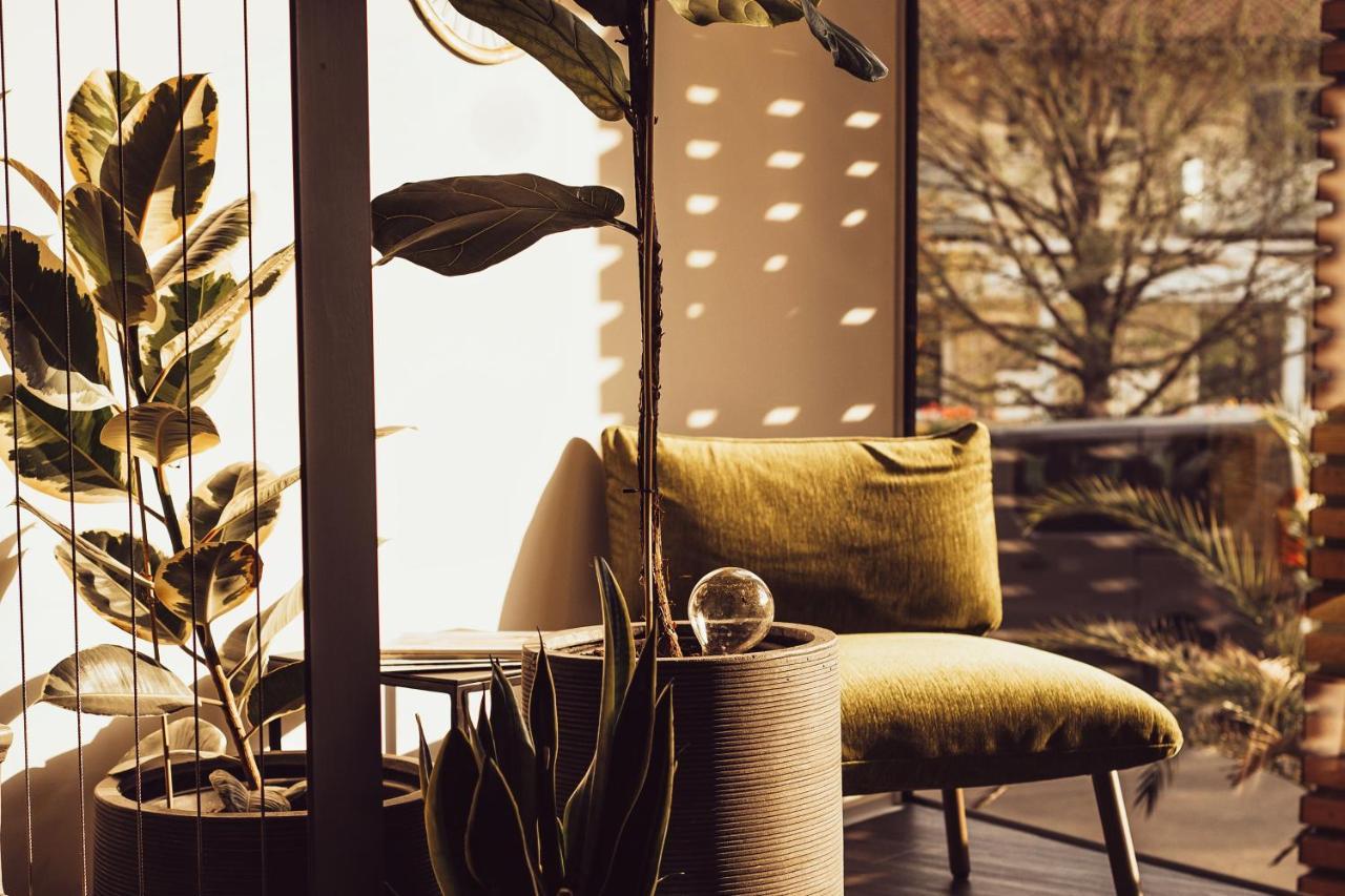 Hotel Birkenhof Hotel